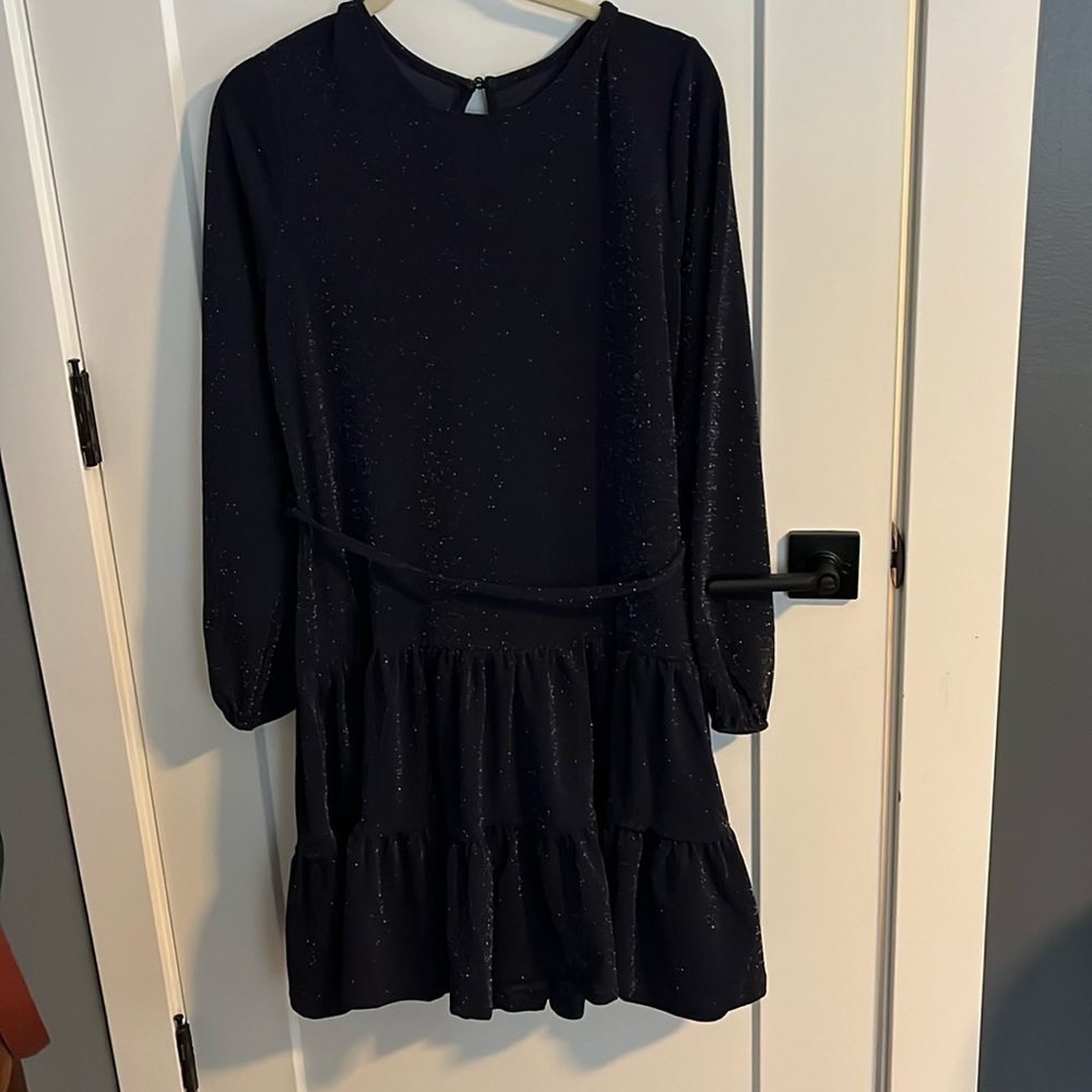 Navy Blue Sparkly Tiered Long Sleeve Dress EUC - Picture 2 of 13